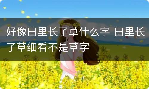 好像田里长了草什么字 田里长了草细看不是草字