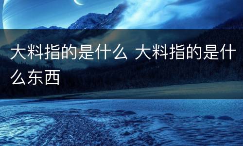 大料指的是什么 大料指的是什么东西