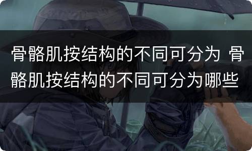 骨骼肌按结构的不同可分为 骨骼肌按结构的不同可分为哪些