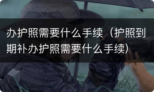 办护照需要什么手续（护照到期补办护照需要什么手续）