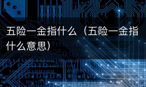 五险一金指什么（五险一金指什么意思）