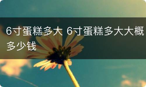 6寸蛋糕多大 6寸蛋糕多大大概多少钱