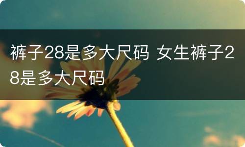 裤子28是多大尺码 女生裤子28是多大尺码