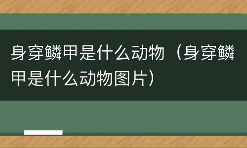 身穿鳞甲是什么动物（身穿鳞甲是什么动物图片）