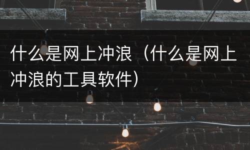 什么是网上冲浪（什么是网上冲浪的工具软件）