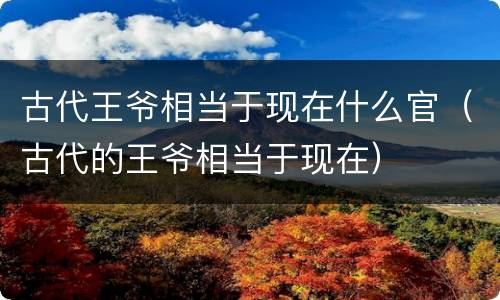 古代王爷相当于现在什么官（古代的王爷相当于现在）