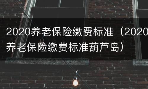 2020养老保险缴费标准（2020养老保险缴费标准葫芦岛）
