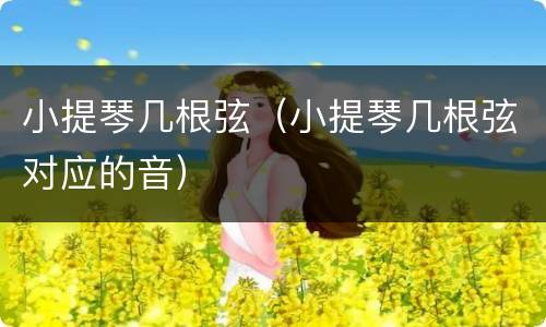小提琴几根弦（小提琴几根弦对应的音）