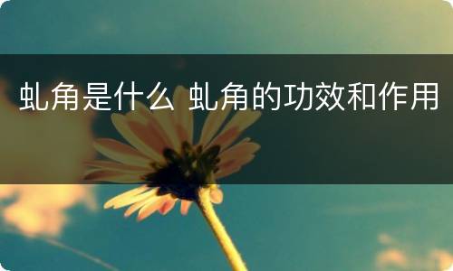 虬角是什么 虬角的功效和作用