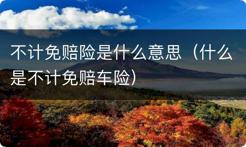 不计免赔险是什么意思（什么是不计免赔车险）