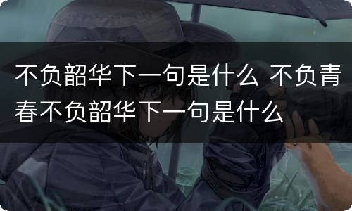 不负韶华下一句是什么 不负青春不负韶华下一句是什么