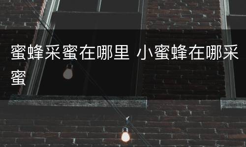 蜜蜂采蜜在哪里 小蜜蜂在哪采蜜