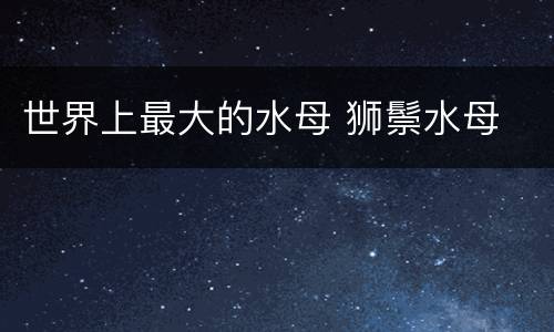 世界上最大的水母 狮鬃水母