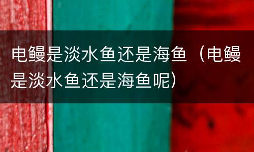 电鳗是淡水鱼还是海鱼（电鳗是淡水鱼还是海鱼呢）