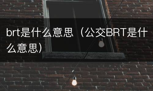 brt是什么意思（公交BRT是什么意思）