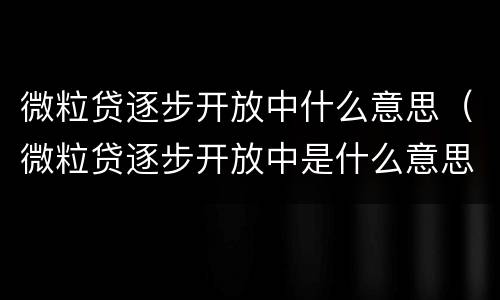 微粒贷逐步开放中什么意思（微粒贷逐步开放中是什么意思说明这个人信誉不好吗）