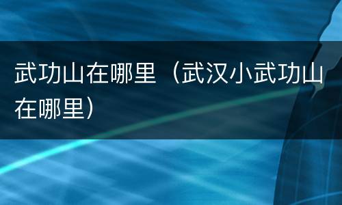 武功山在哪里（武汉小武功山在哪里）