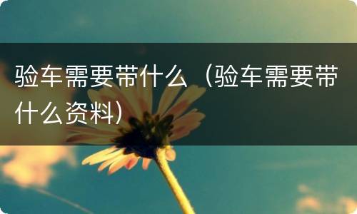 验车需要带什么（验车需要带什么资料）