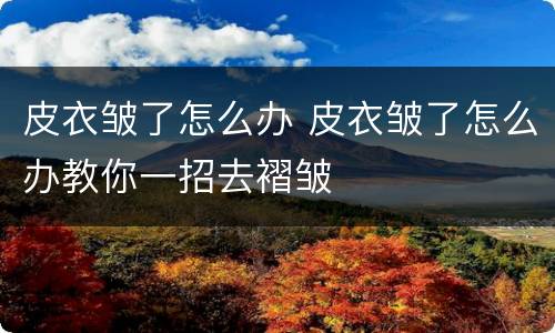 皮衣皱了怎么办 皮衣皱了怎么办教你一招去褶皱
