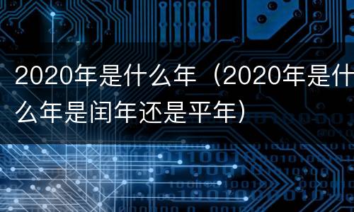 2020年是什么年（2020年是什么年是闰年还是平年）