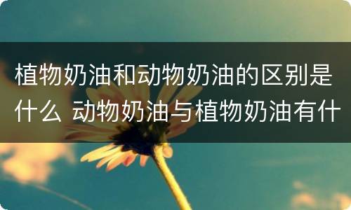 植物奶油和动物奶油的区别是什么 动物奶油与植物奶油有什么区别