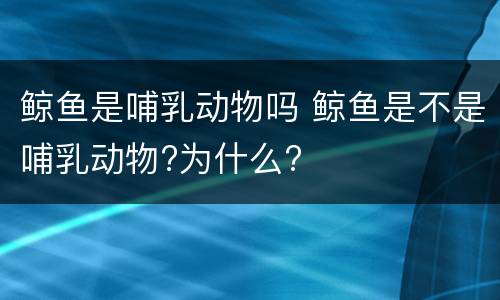 鲸鱼是哺乳动物吗 鲸鱼是不是哺乳动物?为什么?