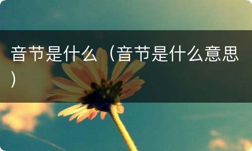 音节是什么（音节是什么意思）