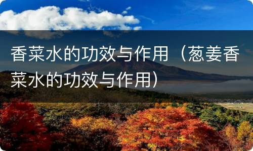 香菜水的功效与作用（葱姜香菜水的功效与作用）