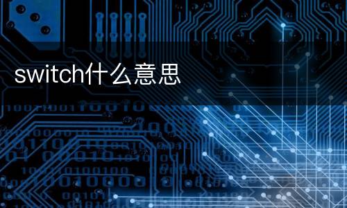 switch什么意思