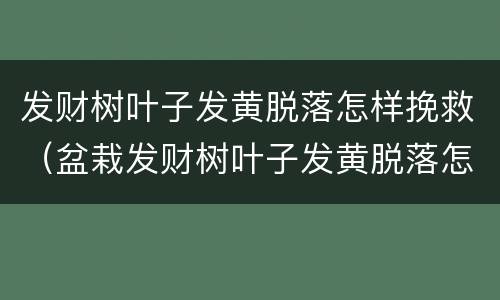 发财树叶子发黄脱落怎样挽救（盆栽发财树叶子发黄脱落怎样挽救）