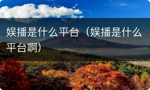 娱播是什么平台（娱播是什么平台啊）