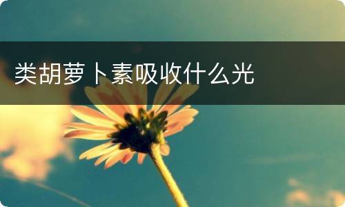 类胡萝卜素吸收什么光