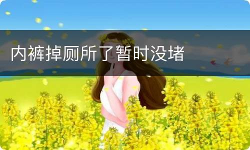 内裤掉厕所了暂时没堵