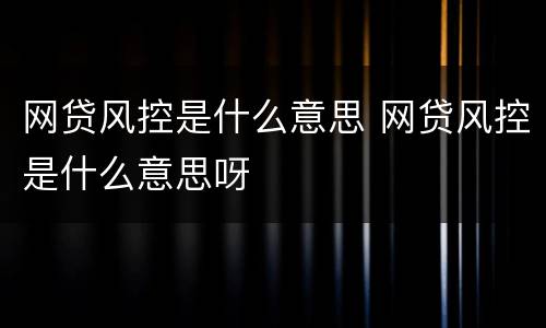 网贷风控是什么意思 网贷风控是什么意思呀