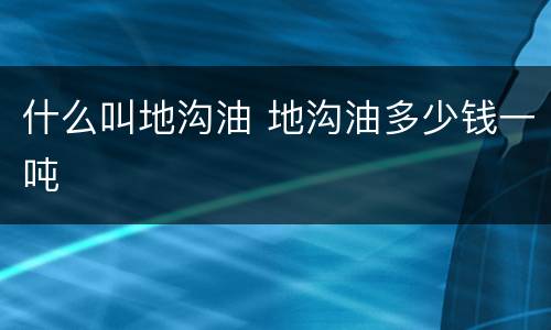 什么叫地沟油 地沟油多少钱一吨