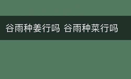 谷雨种姜行吗 谷雨种菜行吗