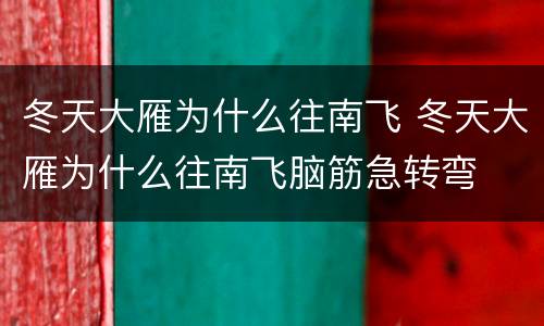 冬天大雁为什么往南飞 冬天大雁为什么往南飞脑筋急转弯