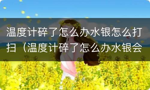 温度计碎了怎么办水银怎么打扫（温度计碎了怎么办水银会对人体有害吗）