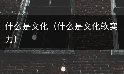 什么是文化（什么是文化软实力）