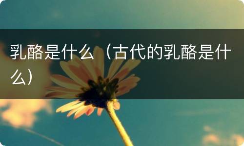 乳酪是什么（古代的乳酪是什么）