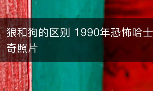 狼和狗的区别 1990年恐怖哈士奇照片