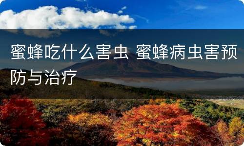 蜜蜂吃什么害虫 蜜蜂病虫害预防与治疗