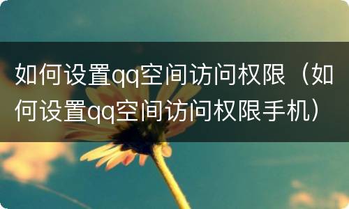 如何设置qq空间访问权限（如何设置qq空间访问权限手机）