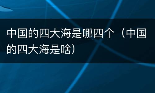 中国的四大海是哪四个（中国的四大海是啥）