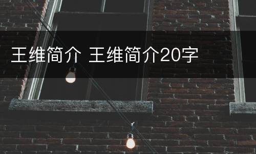 王维简介 王维简介20字