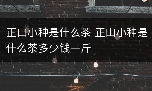 正山小种是什么茶 正山小种是什么茶多少钱一斤