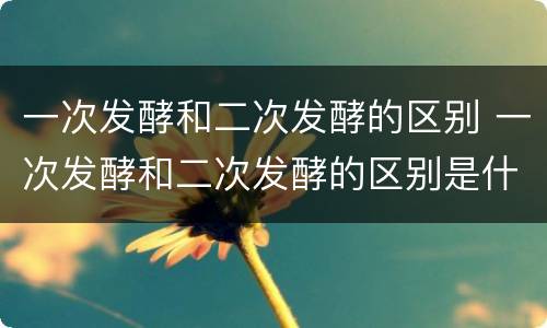 一次发酵和二次发酵的区别 一次发酵和二次发酵的区别是什么