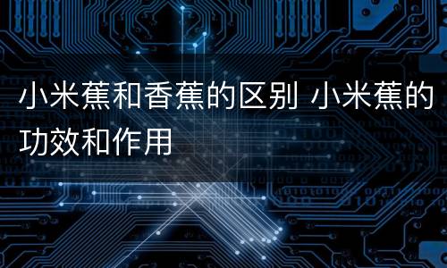 小米蕉和香蕉的区别 小米蕉的功效和作用