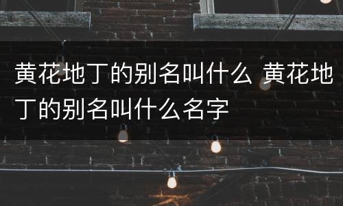 黄花地丁的别名叫什么 黄花地丁的别名叫什么名字