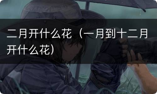 二月开什么花（一月到十二月开什么花）